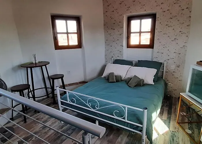 Tour Medievale Unesco Apartament Albi